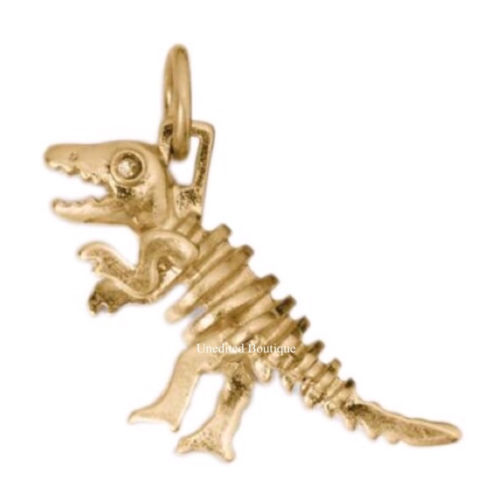 COACH Rexy Metal Charm